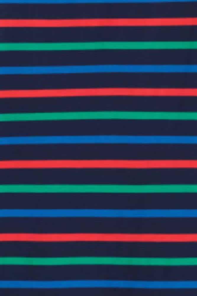 Seasalt Cornwall Sailor Top Tri Breton MAritime Glade - La Vie en Rose Damesmode